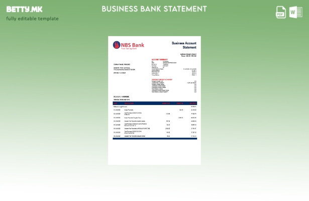 Модерен стил на НБС изјава за претпријатие за сметка Шаблон Word и PDF шаблон ()